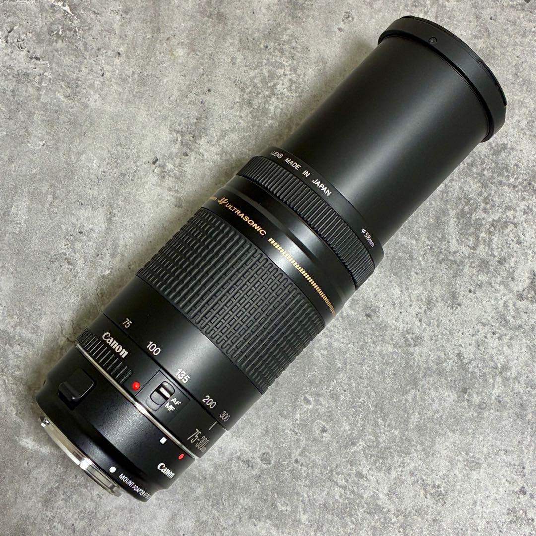 ⭐️美品⭐️Canon EFS 75-300 II & EF-EOS M アダプター