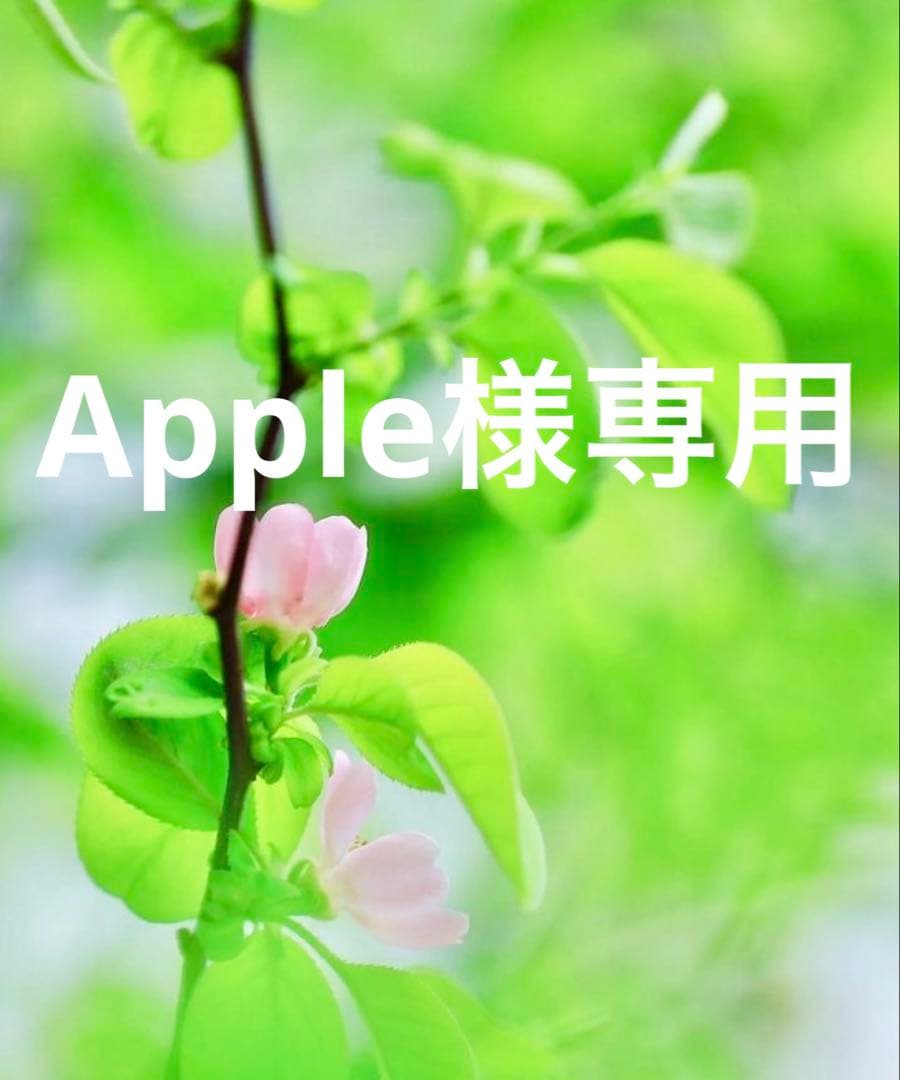 Appleページです。