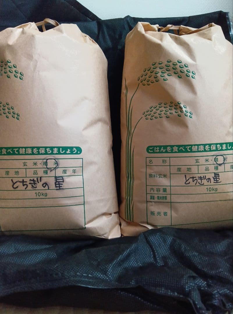 米とちぎの星　業務用20キロ