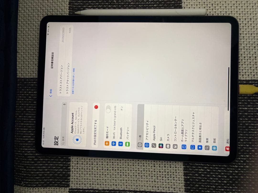 Apple iPad pro 11 第1世代 256 第2世代pen付