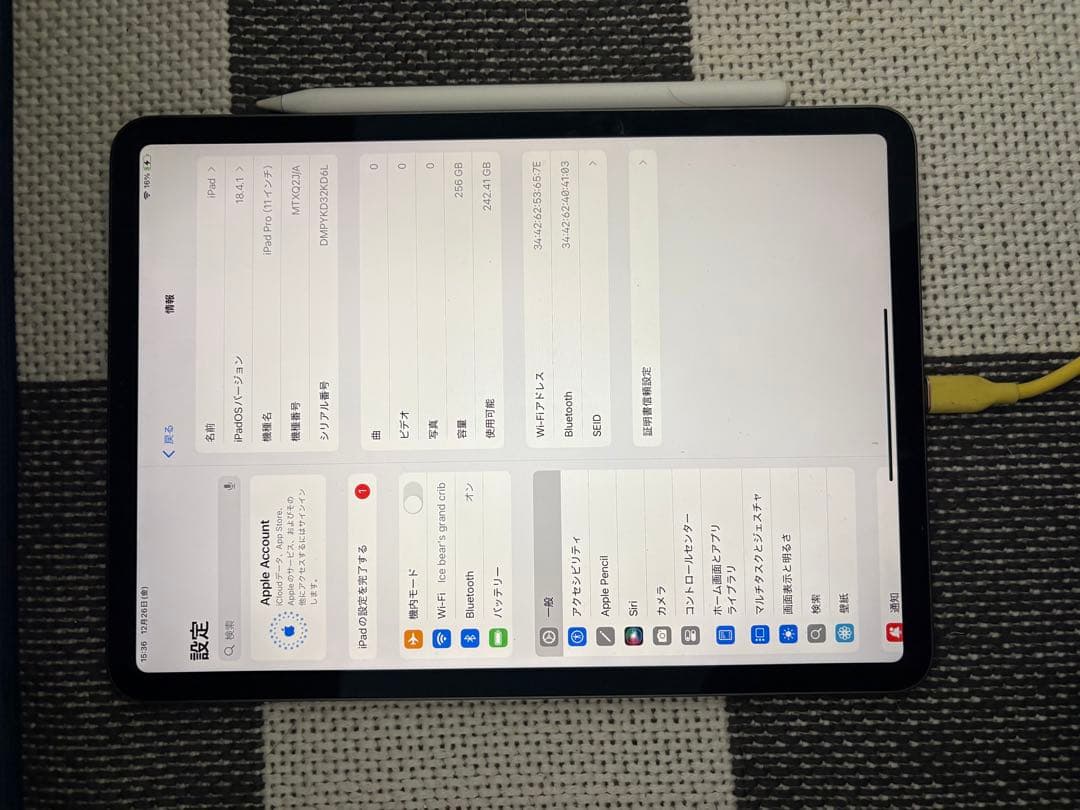 Apple iPad pro 11 第1世代 256 第2世代pen付
