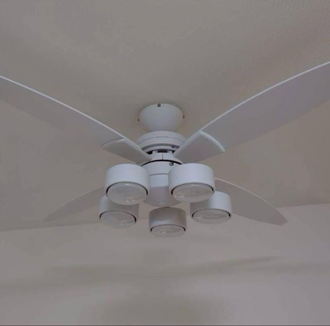 DAIKO シーリングファン＆ライト