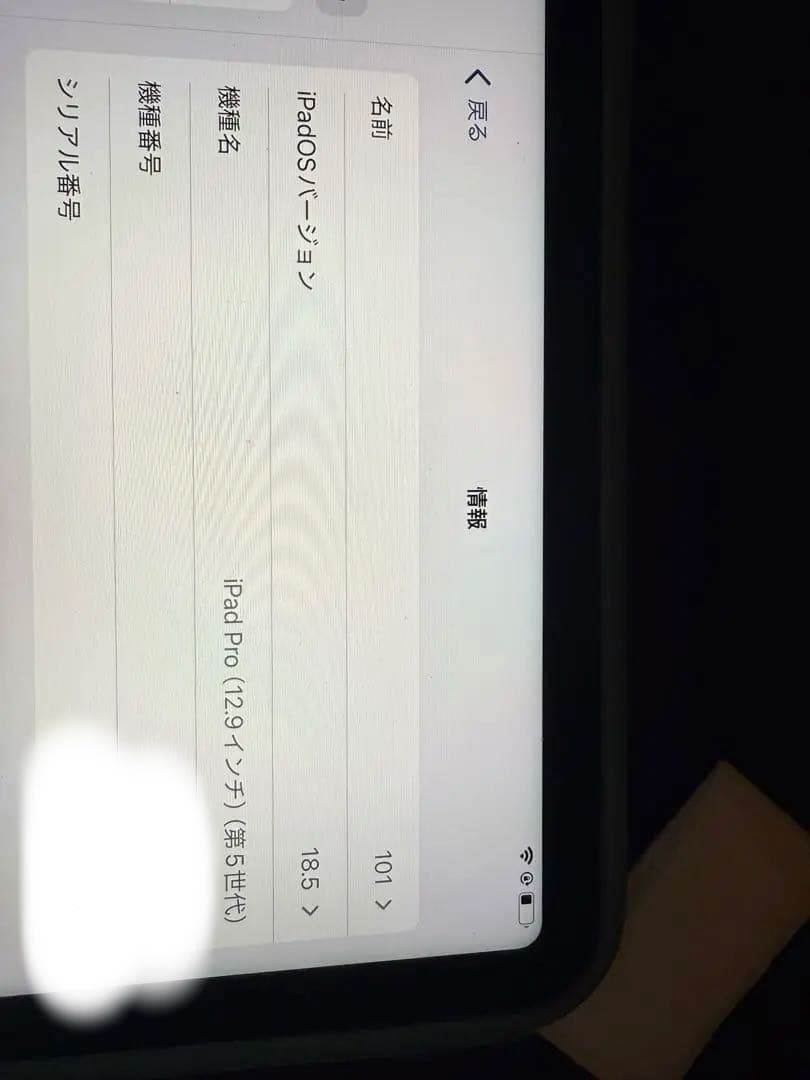 iPad本体 Apple iPad Pro 12.9 5th M1 128G