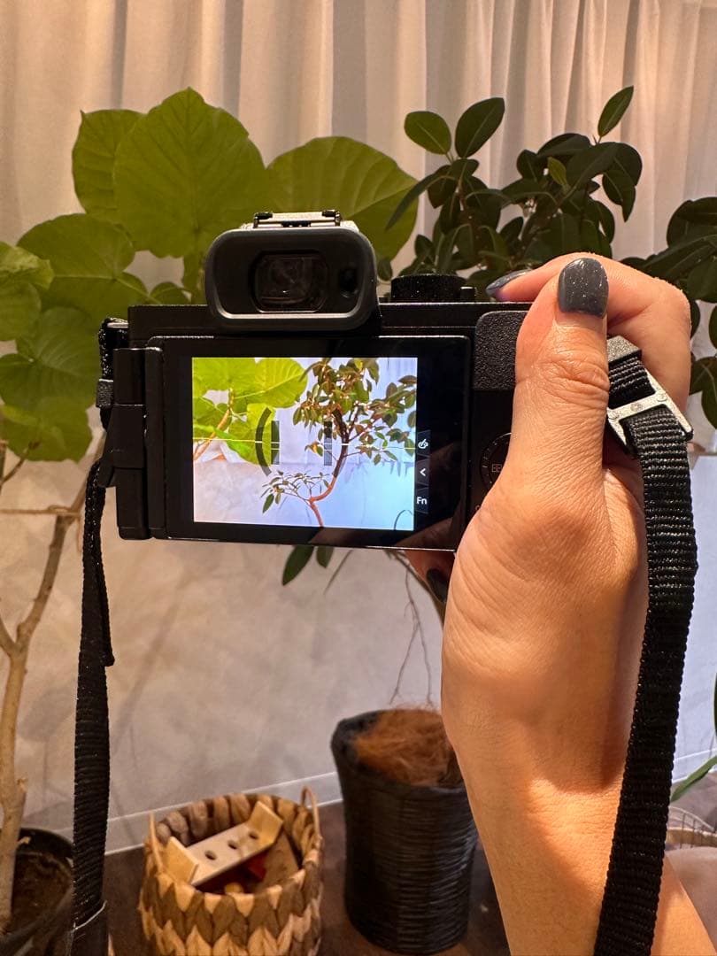 【美品】LUMIX G100／ファインダーひびあり・モニター撮影OK