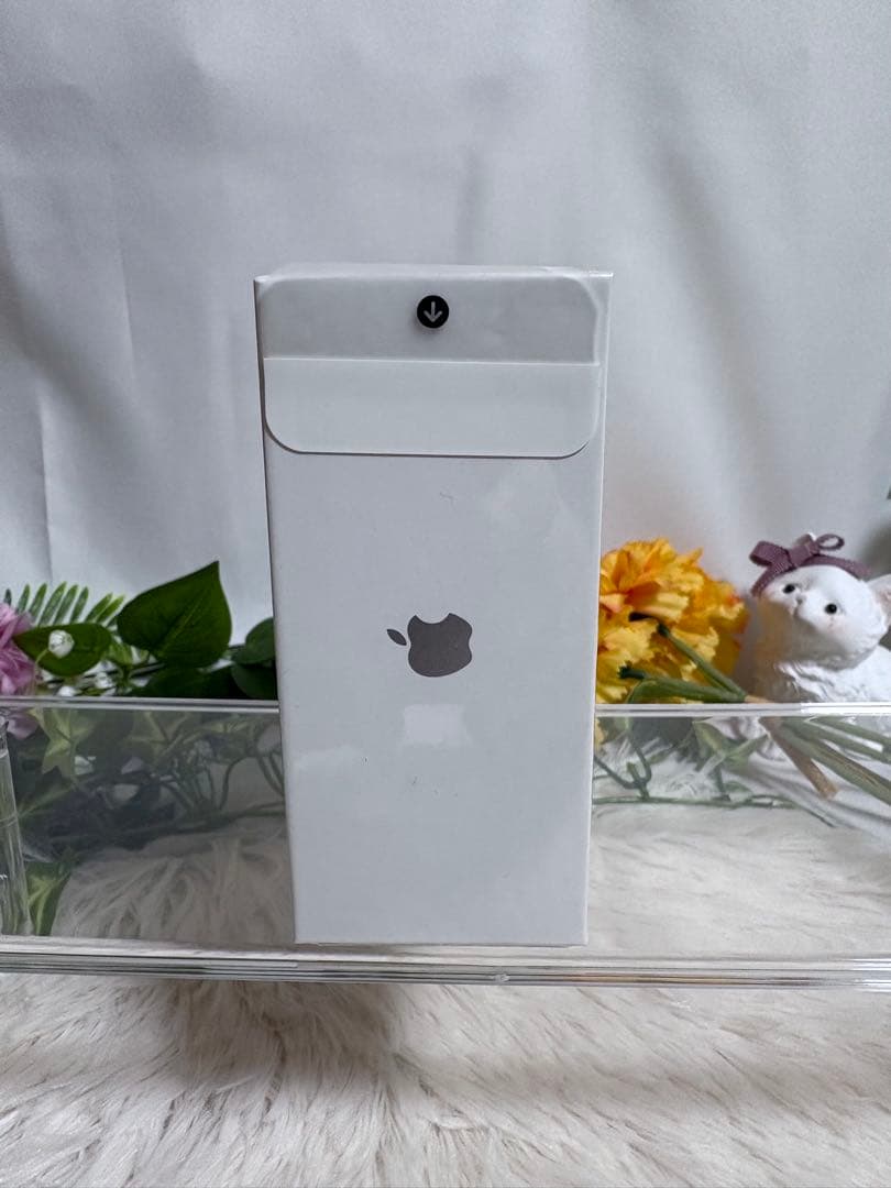 Apple AirPods Pro 新品未開封 ワイヤレスイヤホン ラスト1点！