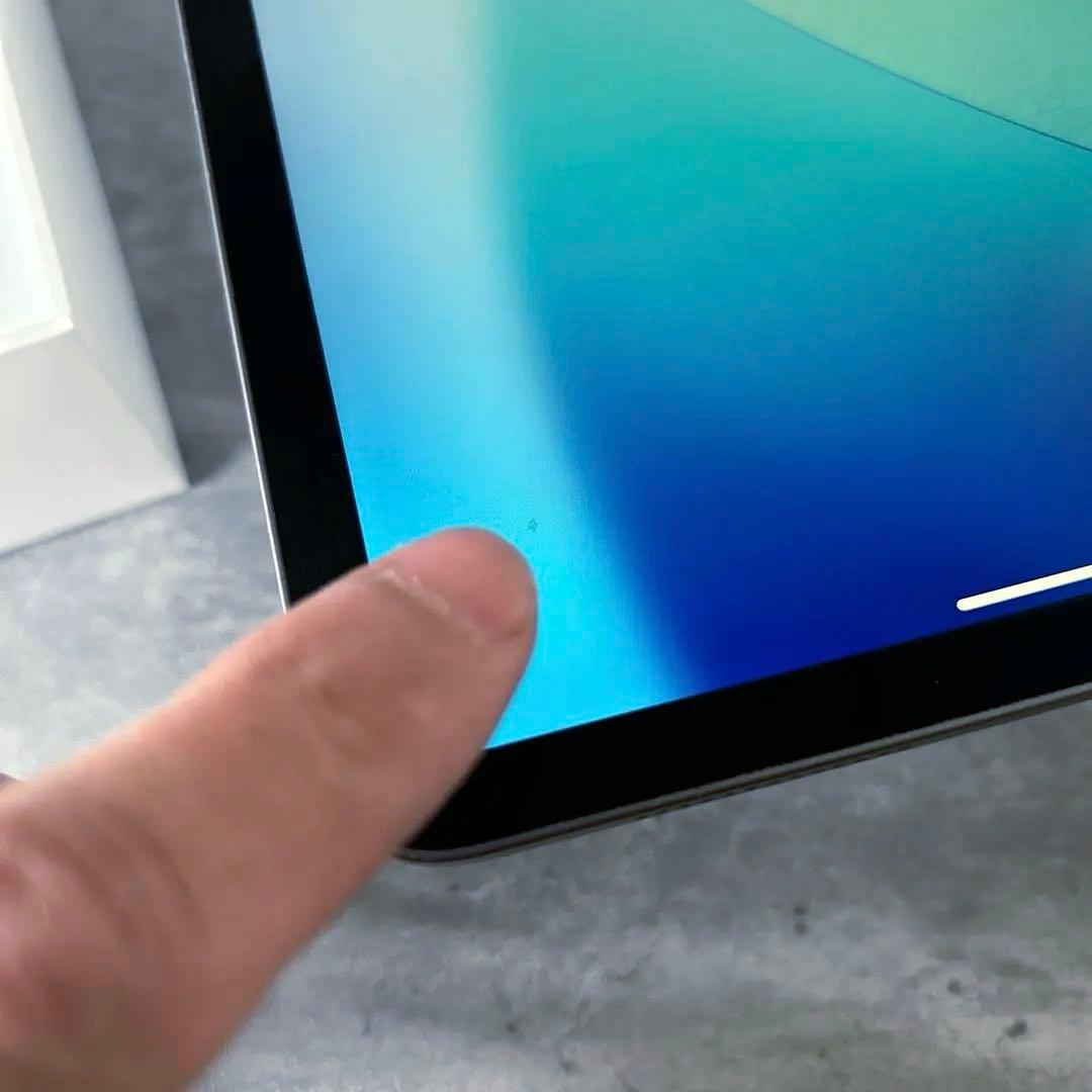 iPad Pro (第2世代) 11インチ 256GB 動作確認済