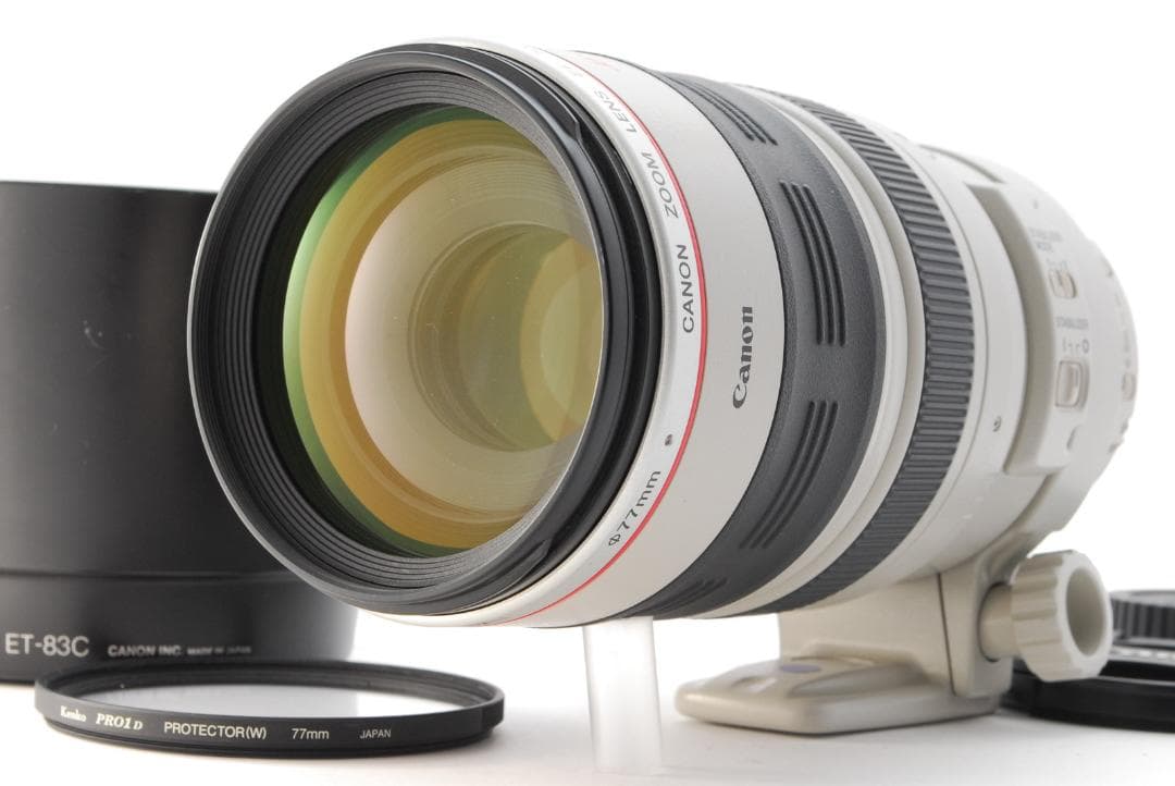 レンズ(ズーム) Canon EF 100-400mm 4.5-5.6 L IS USM #311