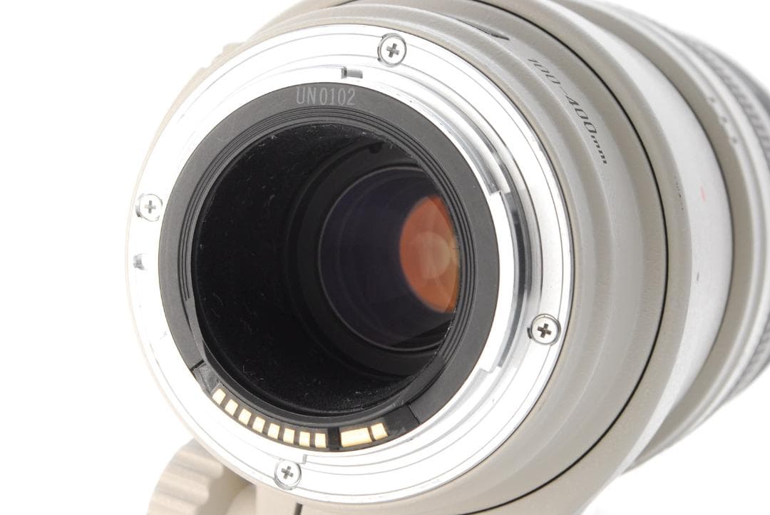 レンズ(ズーム) Canon EF 100-400mm 4.5-5.6 L IS USM #311