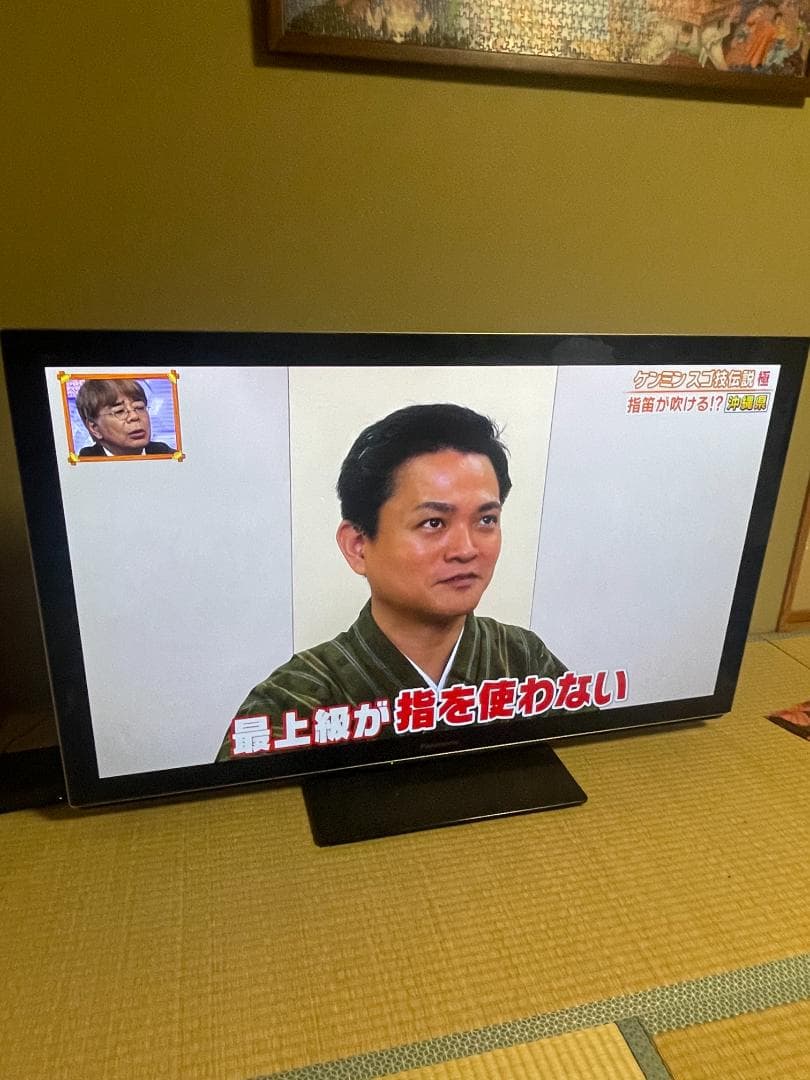 Panasonic VIERA TH-P50VT33 50インチ