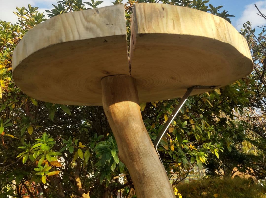 キャットタワー