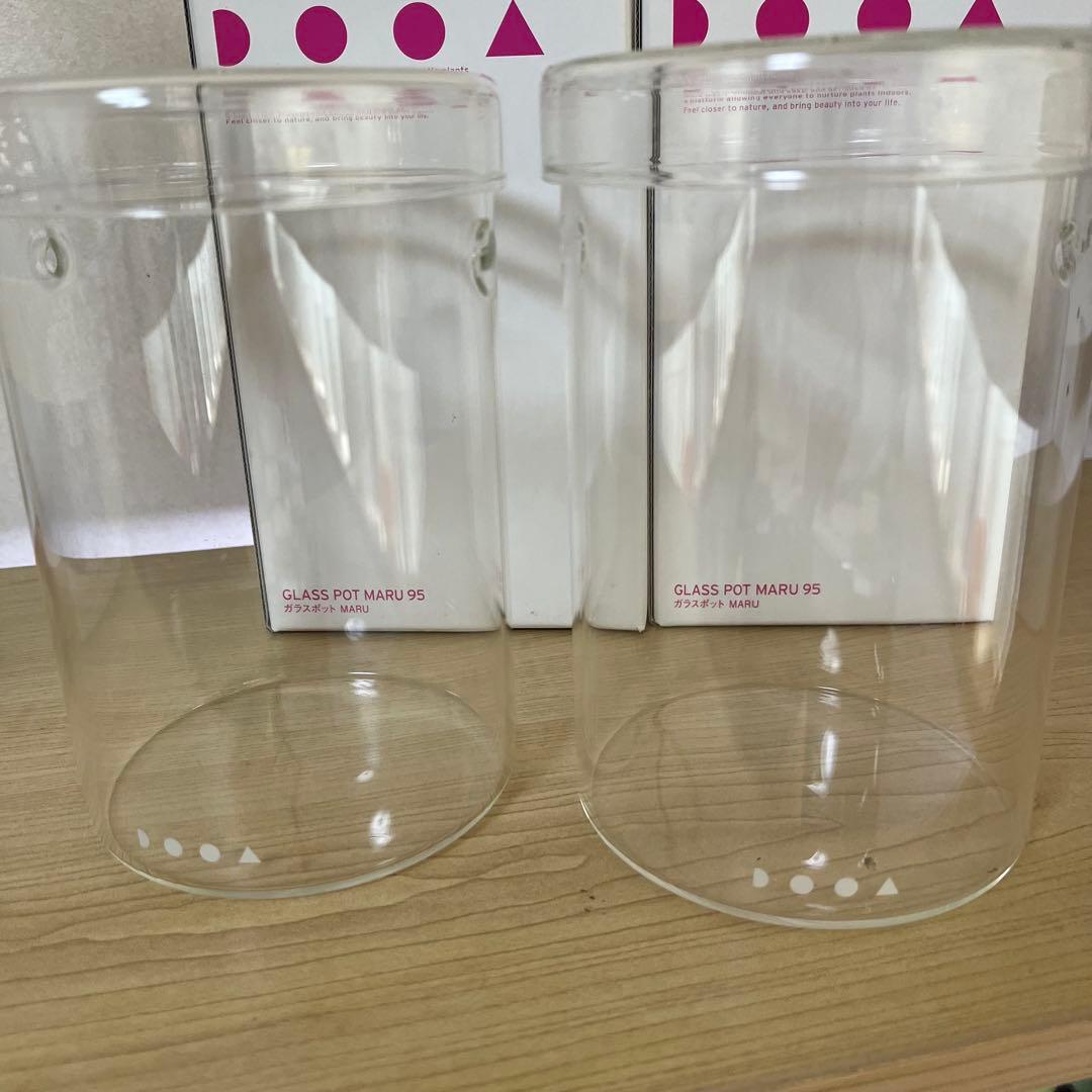 アツ　MARU 95 2個　ADA レパンテス・カロディクティオン 。