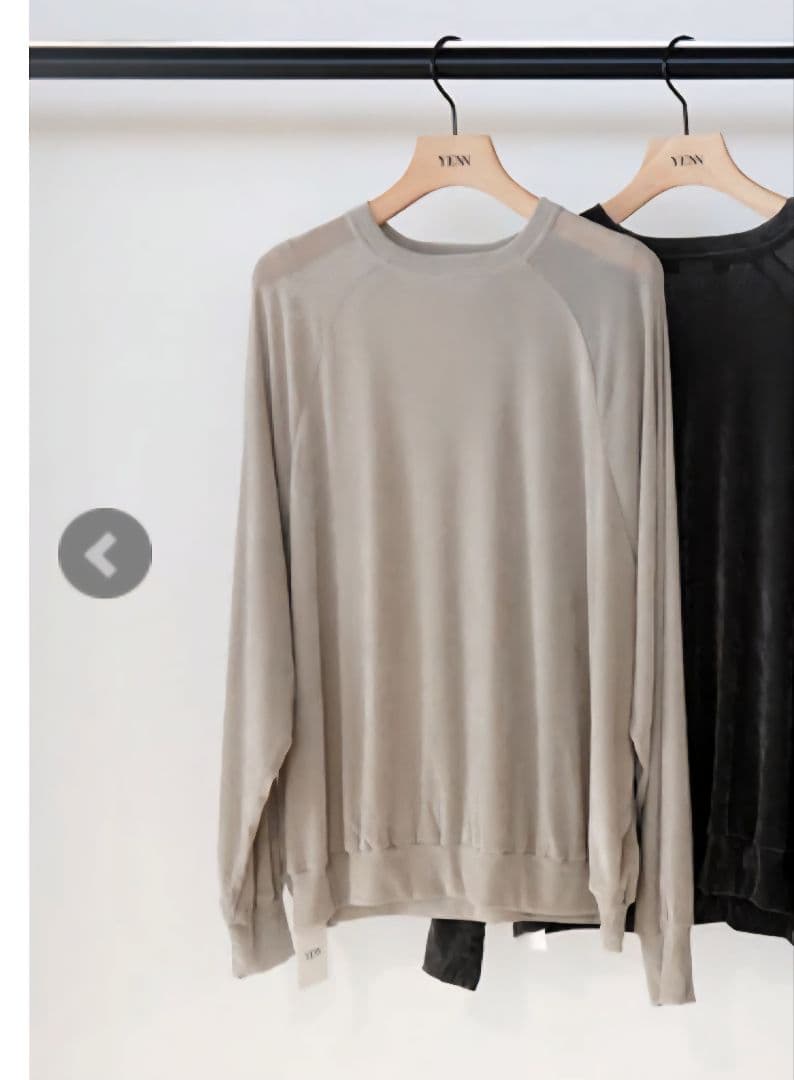 15時削除【YENN イエン】フロッキーチュールプルオーバー　ベージュ