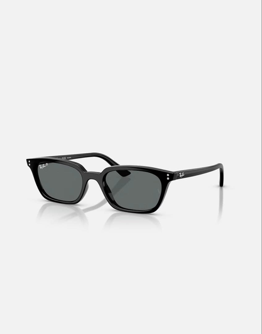Ray Ban ZAYA BIO-BASED 【美品】KEIJU着用