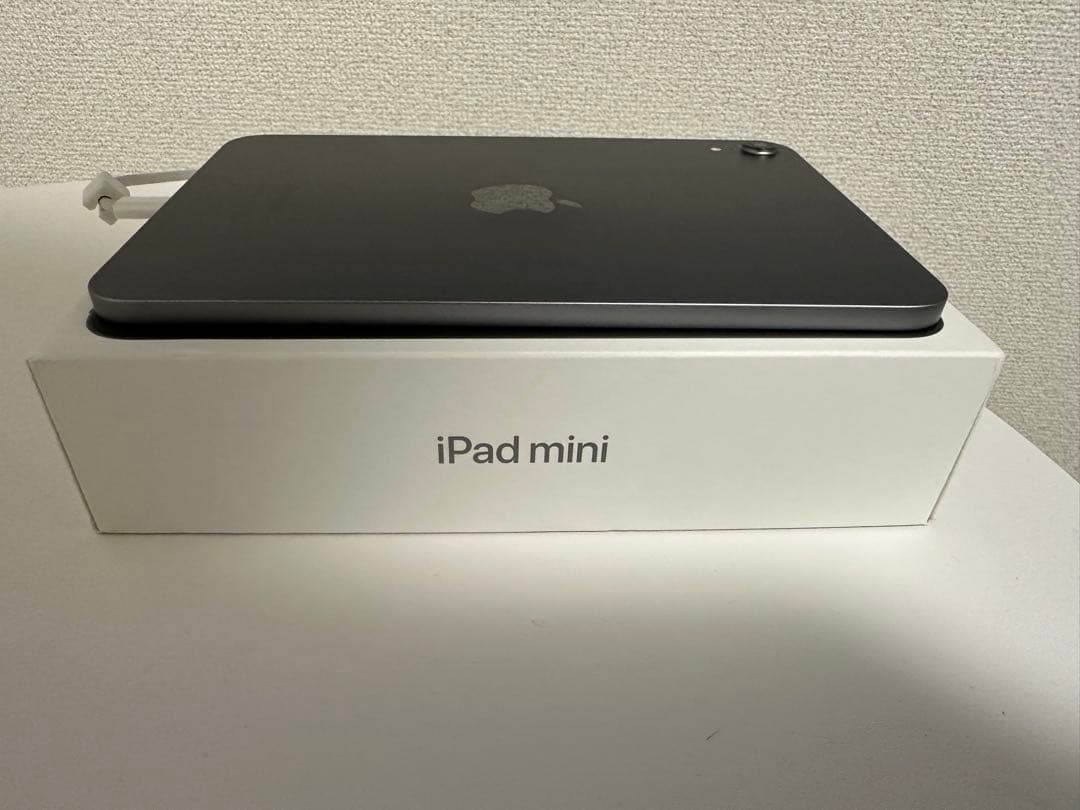 iPad本体 iPad mini7
