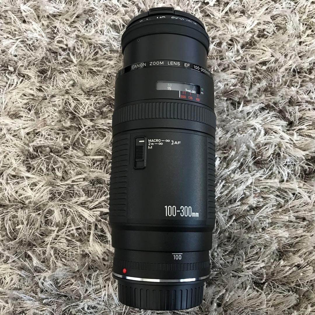 Canon EOS650 と　望遠レンズ　ストロボ