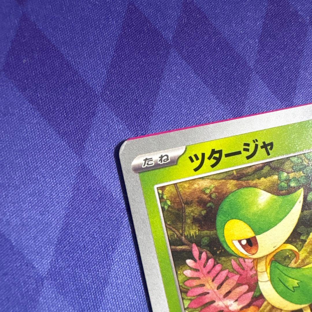 ポケカ ツタージャ エラーカード 裁断ミス 枠ズレ 起床 レア