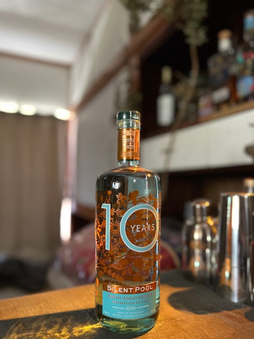 サイレントプール 10th アニバーサリー　ジン　SILENT POOL