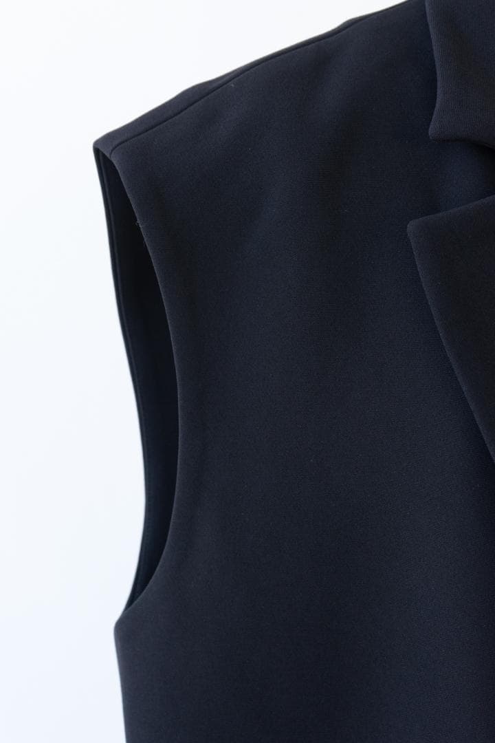 ENFOLD エンフォルド アセテートジレ ベスト