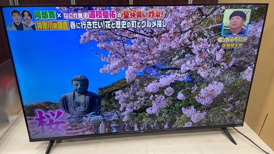 専用TCL チューナーレススマートテレビ 50V型4K 50P63E