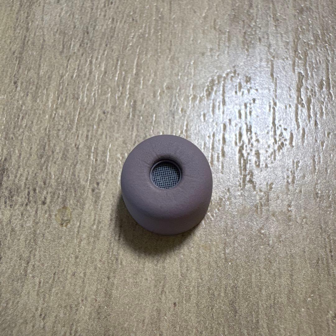 SONY Bluetooth イヤホン WF-1000XM5