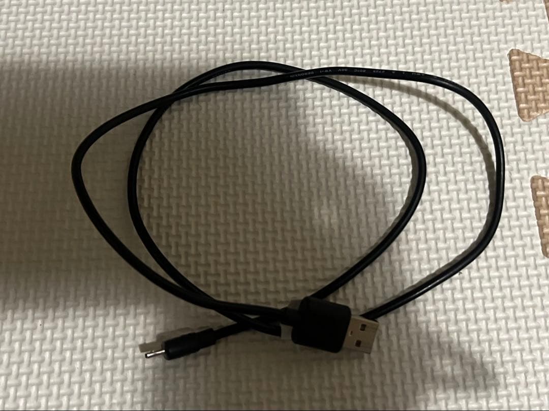 SONY SRS-HG10 h.ear go 2 グレイッシュブラック