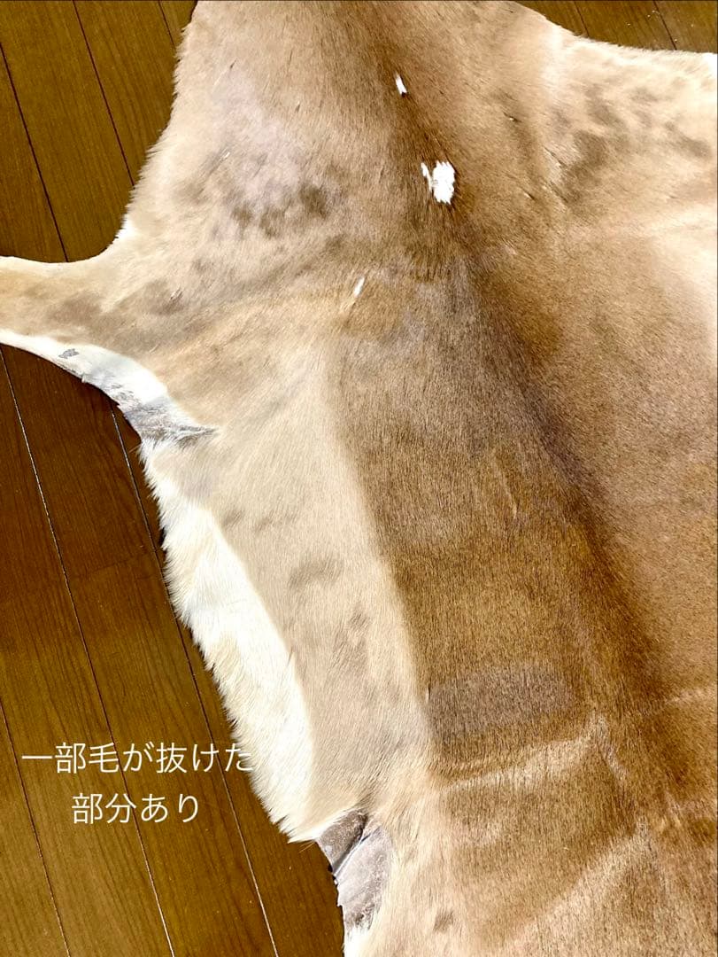 ラグ・カーペット si bubu