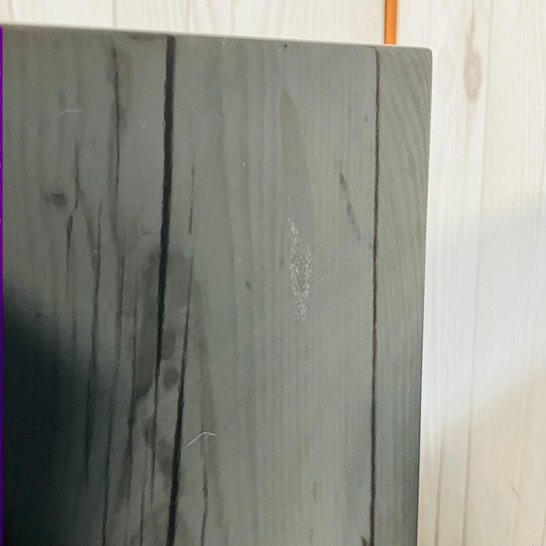 【動作品】DENON サブウーファー DSW-300SG ブラック 音響機器