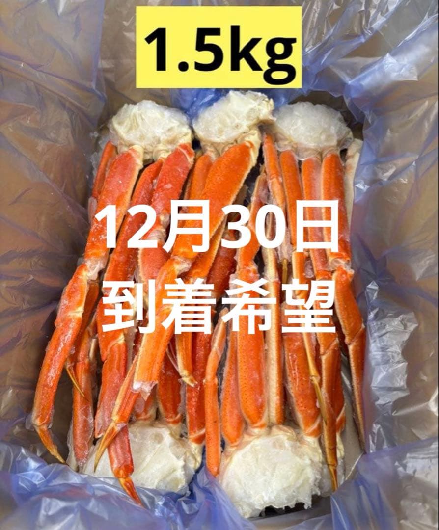 【12/30 到着希望】くうちゃす様 本ズワイガニ 1.5kg