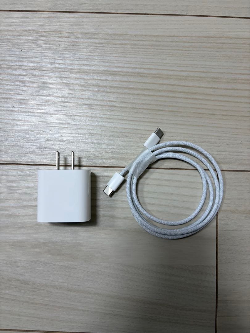 iPad Pro12.9インチ(第5世代) 256GB ApplePencil付