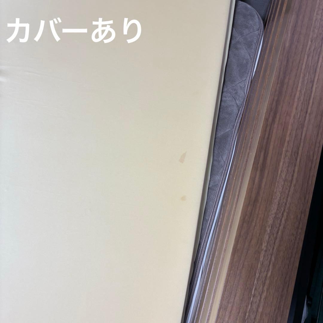 トゥルースリーパー プレミアム マットレス ダブル 5cm 1年使用・へたり極少