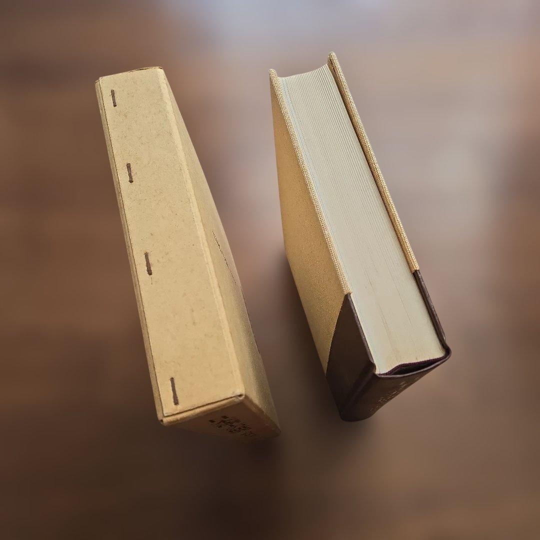 日本漆工の研究 沢口悟一