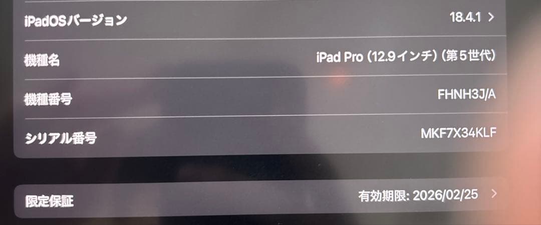 ipad Pro 12.9インチ第5世代256GB Apple Pencil付き