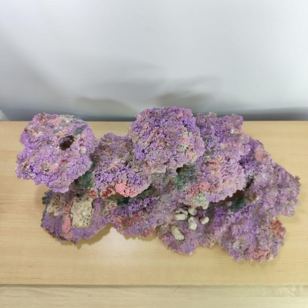 2個セット✐プラグ穴付き 新品 人工ライブロック 60cm海水水槽用 レプリカ