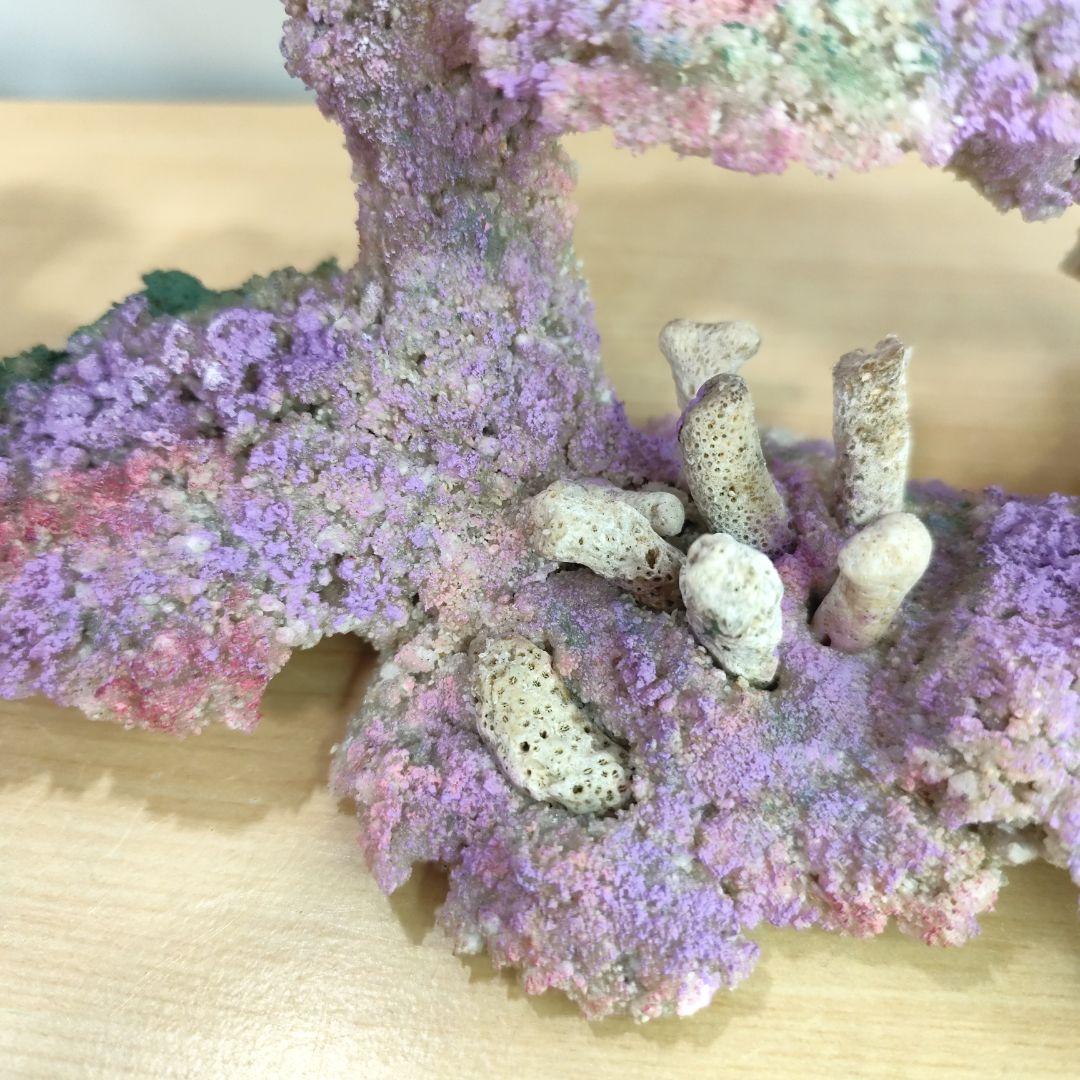 2個セット✐プラグ穴付き 新品 人工ライブロック 60cm海水水槽用 レプリカ