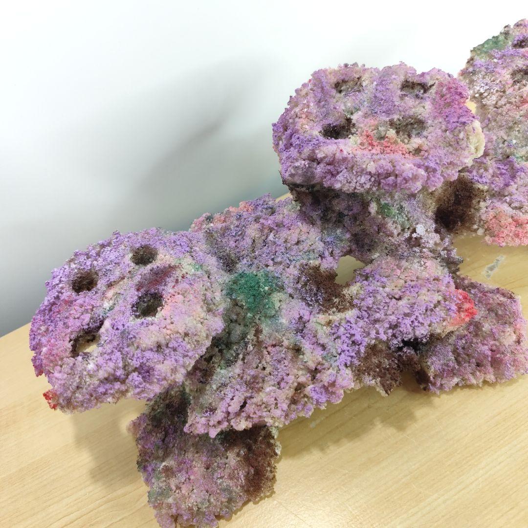 2個セット✐プラグ穴付き 新品 人工ライブロック 60cm海水水槽用 レプリカ