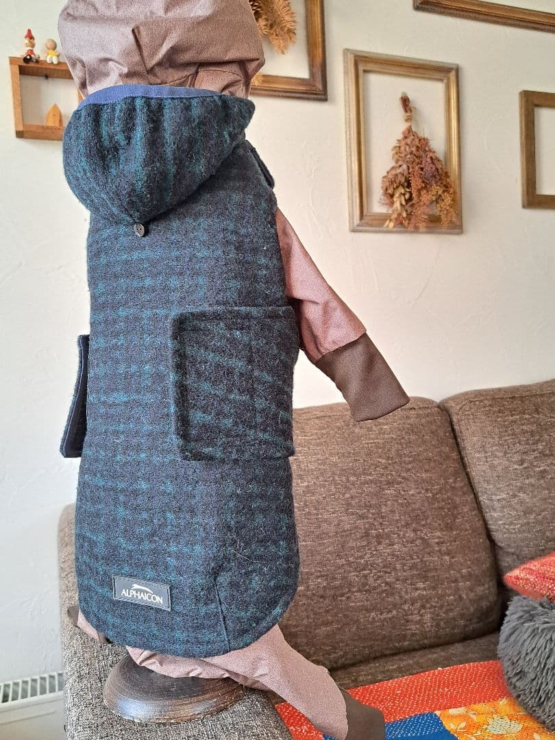 ALPHAICON スノーベスト M