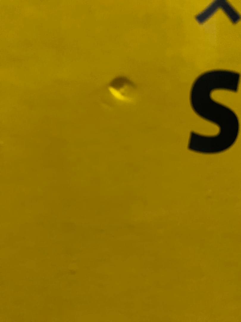 KARCHER スチームクリーナー SC JTK 20 本体