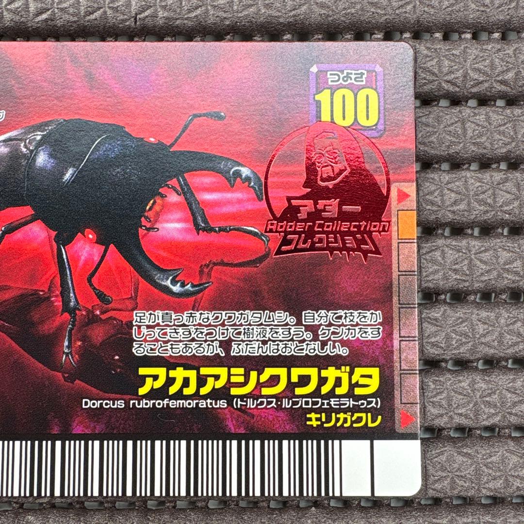 希少 ムシキング アカアシクワガタ アダー フォレストグリーン レアカード