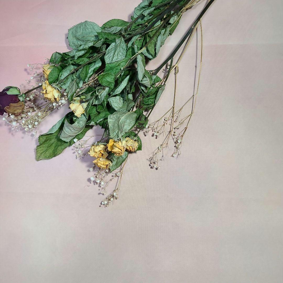 ブライスアウトフイット(min)