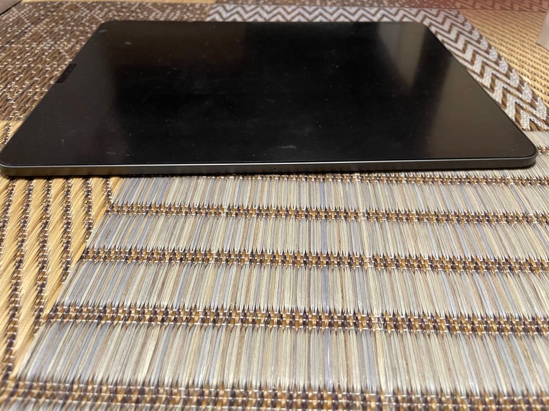 ymt4960Apple iPad Pro (第4世代)256Gbスペース