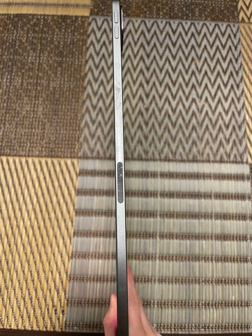 ymt4960Apple iPad Pro (第4世代)256Gbスペース