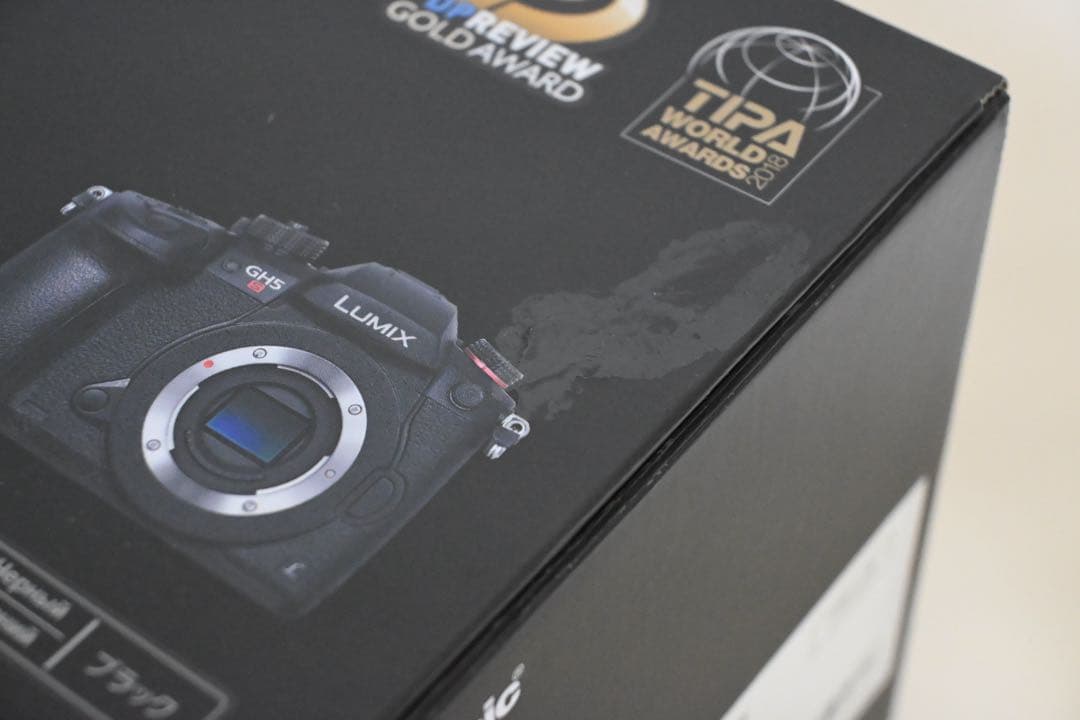 Panasonic パナソニック GH5S DC-GH5S 付属品・箱付き