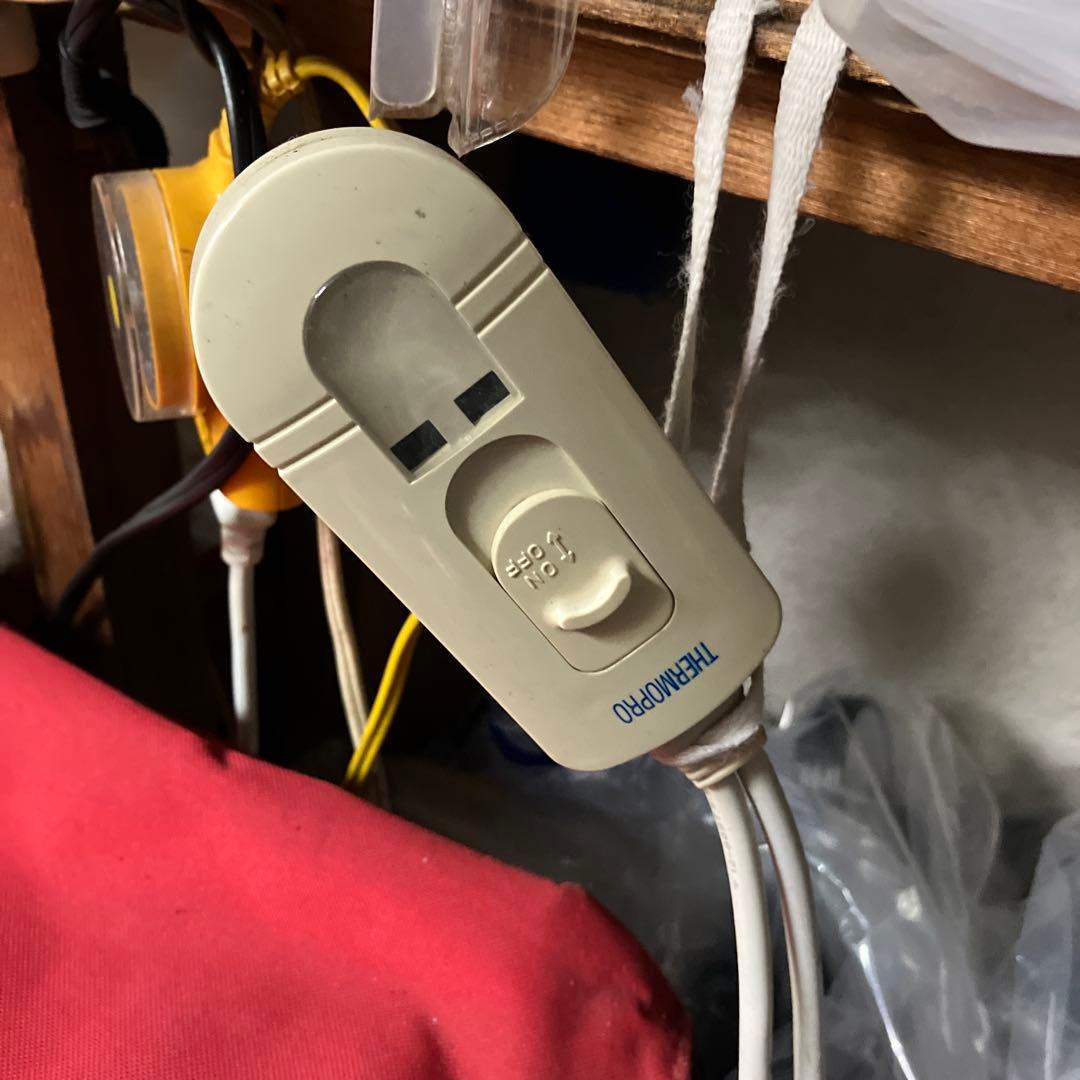 サーモ　プロTHERMO PRO スキーケース　赤　ワックス