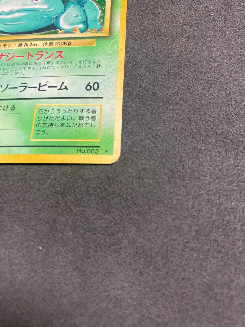 中*迎様 《美品》旧裏　フシギバナ ★ 第1弾拡張パック