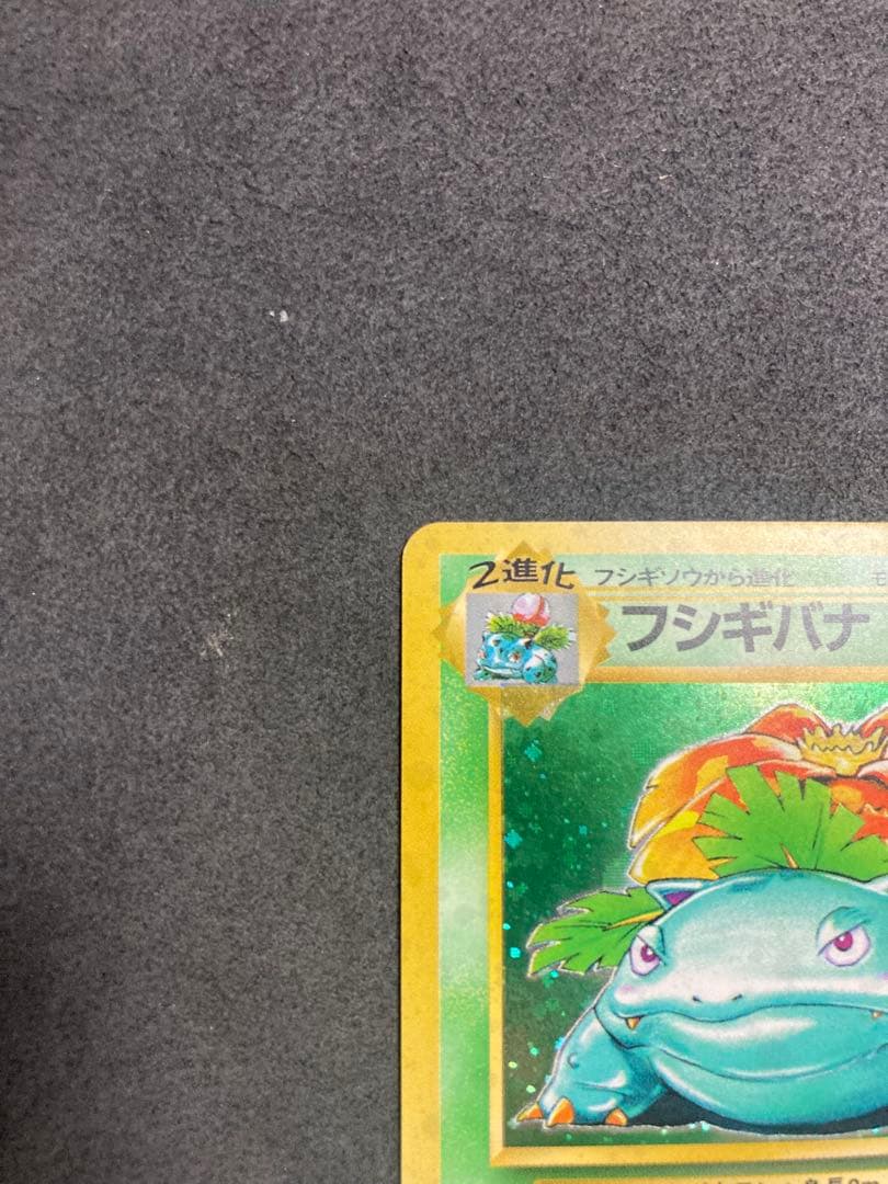 中*迎様 《美品》旧裏　フシギバナ ★ 第1弾拡張パック