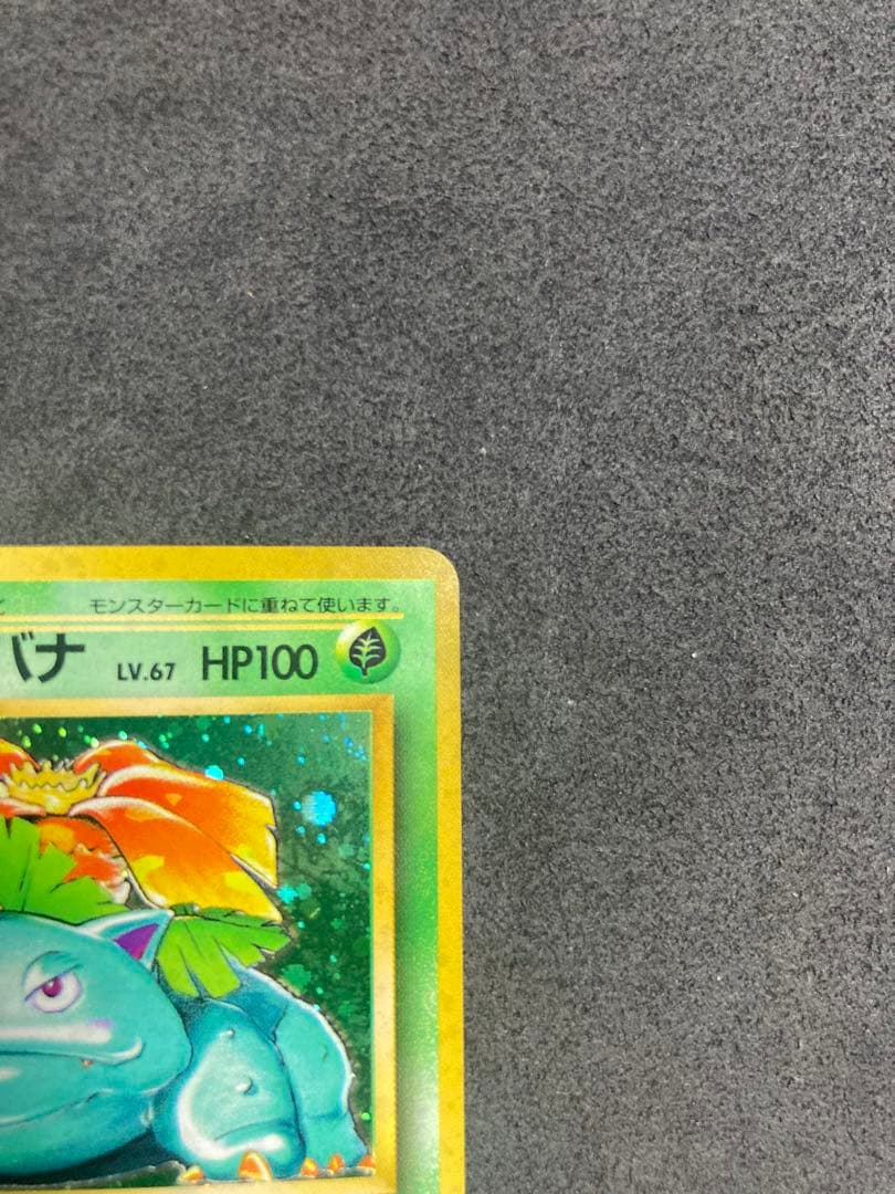 中*迎様 《美品》旧裏　フシギバナ ★ 第1弾拡張パック