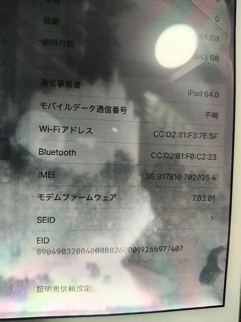 Apple iPad mini5 64G ジャンク　液晶不良