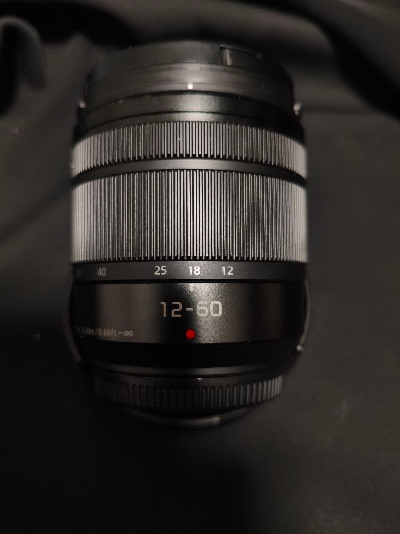 レンズ(ズーム) LUMIX G VARIO 12-60mm F3.5-5.6