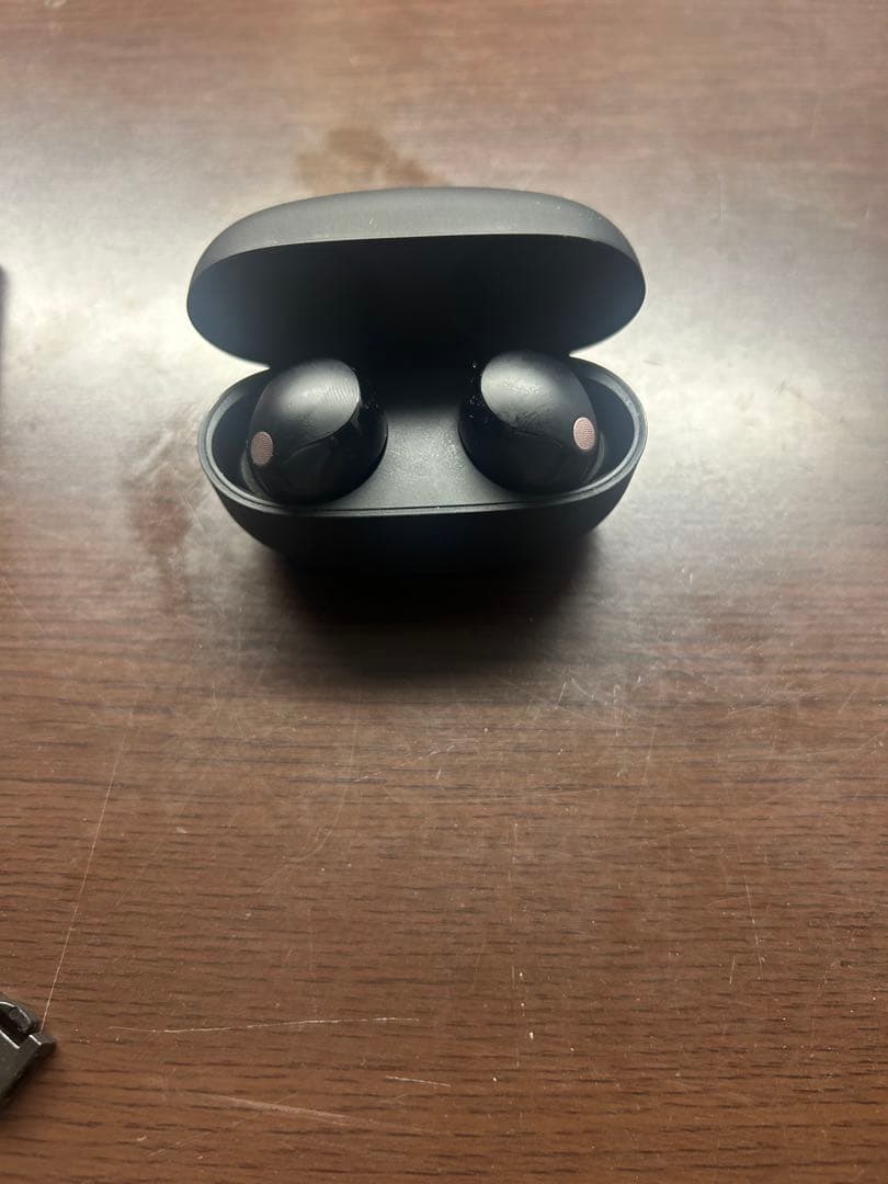 WALKMAN イヤホン セット