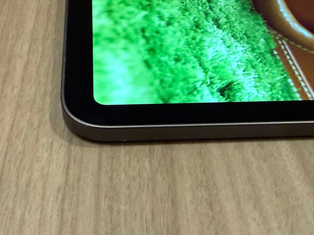 iPad Pro 12.9インチ 第3世代 Wi-Fi 256GB 非純正ペン付